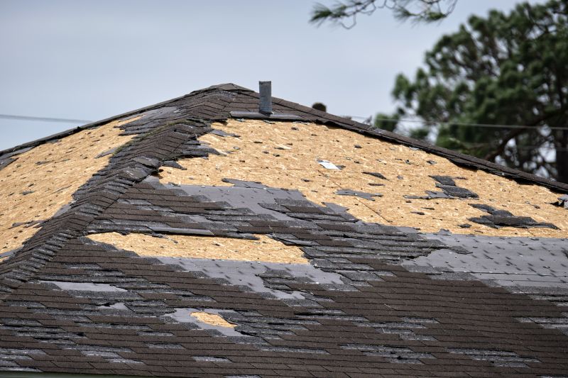 Hail Damage Roof Repair detail