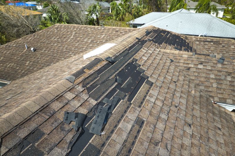 Roof Repair Work
